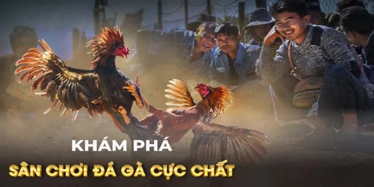 Cách Chơi Đá Gà GA28 789F Chi Tiết Cho Người Mới Bắt Đầu Thắng Lớn