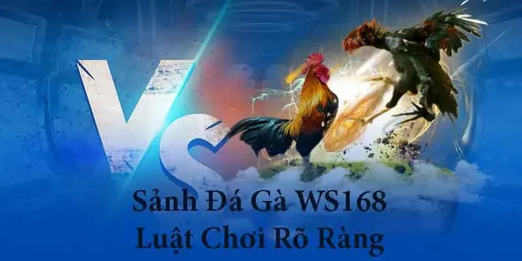 Cách Chơi Đá Gà WS168 Tại 789F Chi Tiết Từ Luật Cược Đến Mẹo Chiến Thắng