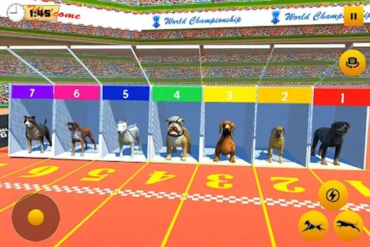 Cách Chơi Game Nhanh Đua Chó Tại 789F Bí Quyết Dự Đoán Chuẩn Và Tăng Tỷ Lệ Thắng